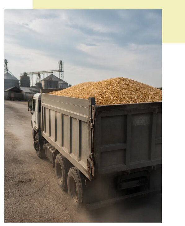 Перевозка сельхозпродукции навалом в Шахты по цене от 3256 р. | Агросервис-Шхт
